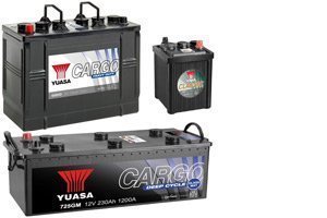 Automotive Batteries