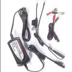 Yuasa SLA Charger 6v 600 mAh, YCP06A6